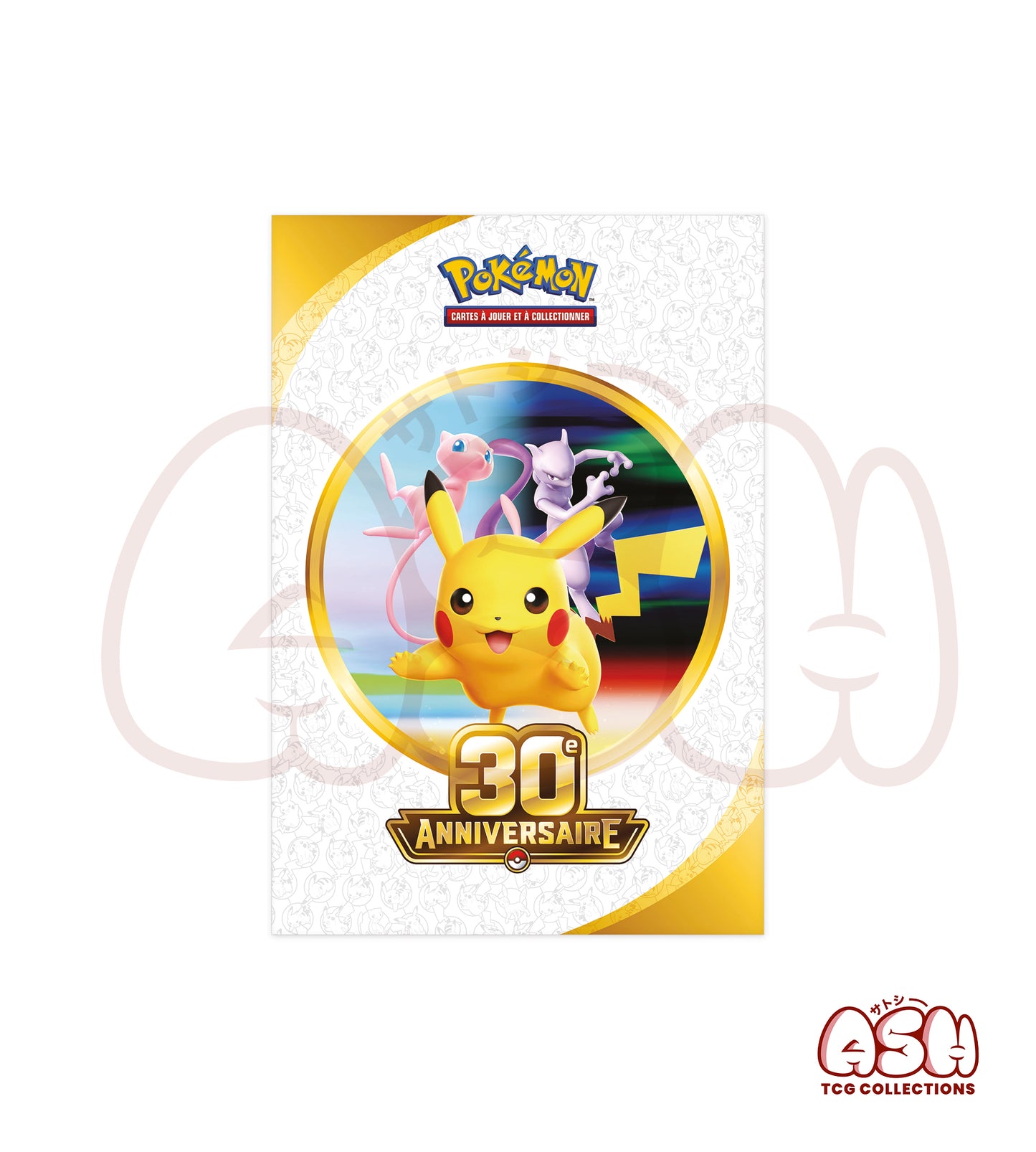 Poster Coffret Collection Poster Pokémon 30 ans face